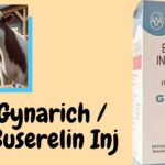 gynarich Injection