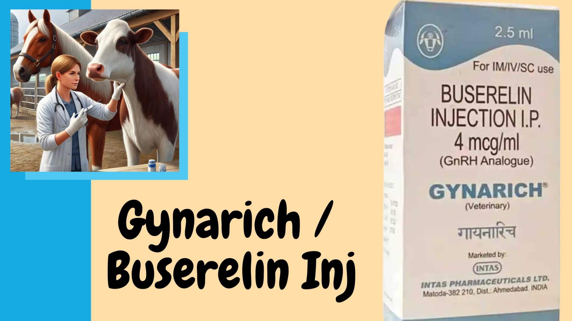 gynarich Injection