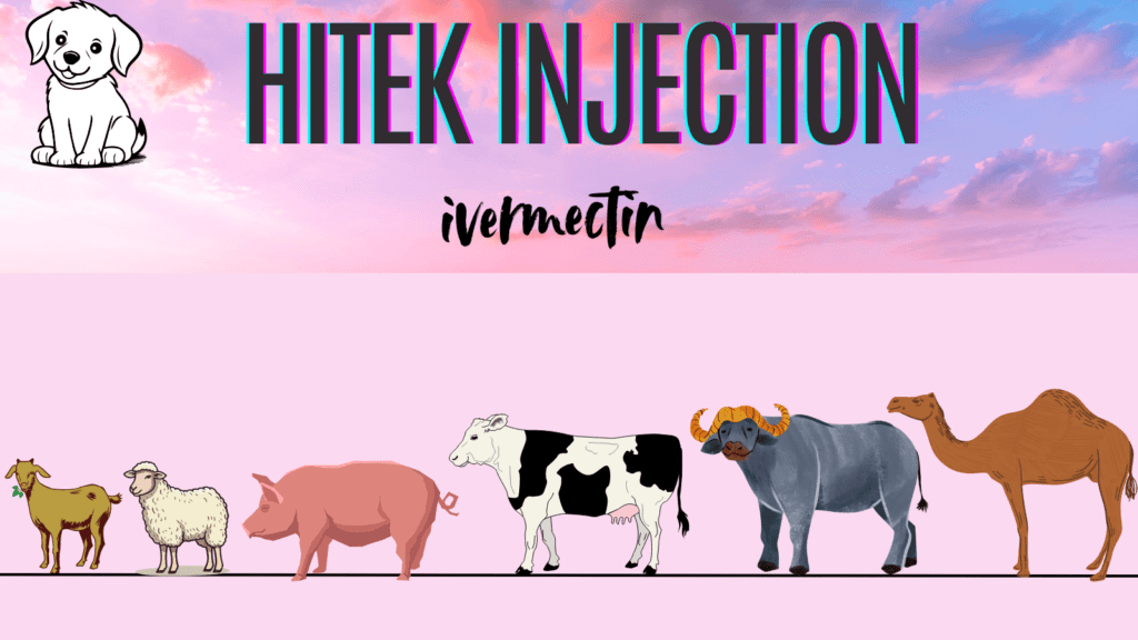 hitek injection uses in hindi