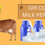 GIR COW MILK PER DAY