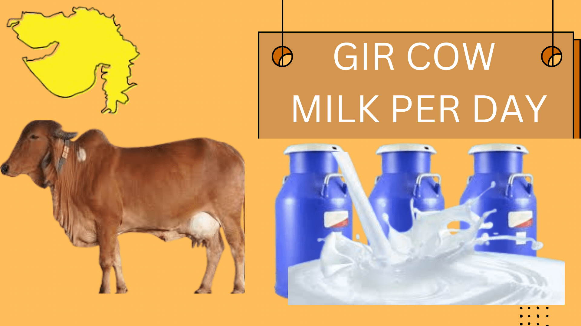GIR COW MILK PER DAY