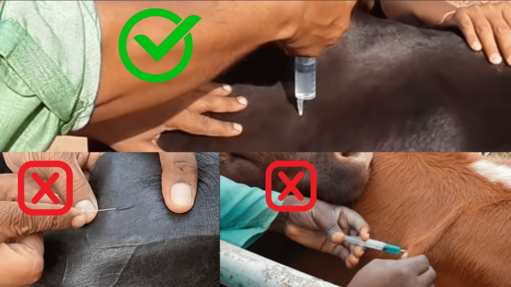 Duraprogen injection route