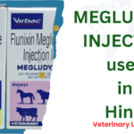 megludyne injection
