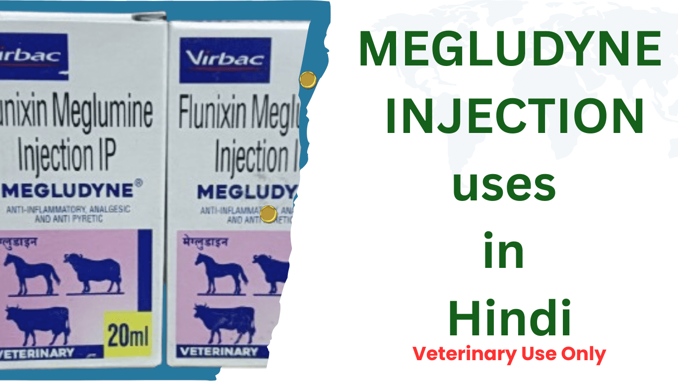 megludyne injection